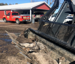 Taxpayers affected by damaging winds, flooding may get some relief