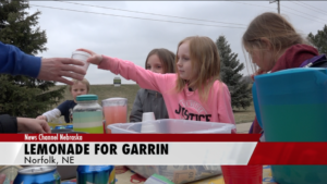 Norfolk girl uses lemonade stand to help baby brother
