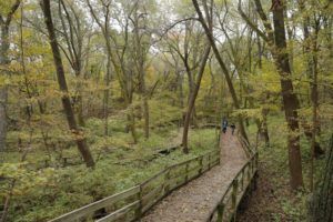 Fontenelle Forest highlighted in Prevention magazine's 'Best Walks in America' list
