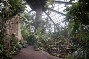 Henry Doorly Zoo is the second-best zoo in the country but has the best exhibit, voters say