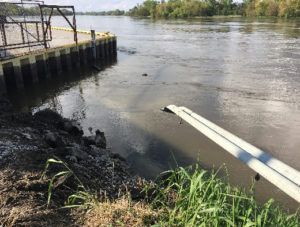 Man Survives Car's Plunge Into River, Taken Into Protective Custody