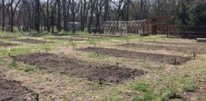 Historic March flooding has some gardeners weary of potential food borne illness in homegrown produce