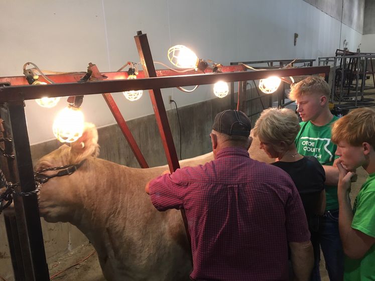 Schedule Of Events 2019 Otoe County Fair River Country News Channel Nebraska