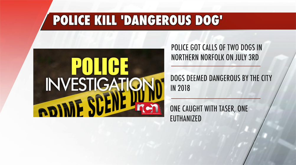 Norfolk Police Euthanize 'Dangerous Dog'