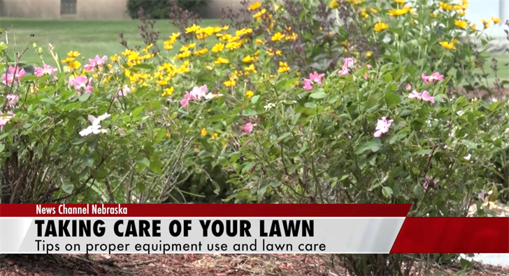 Taking Care Of Your Lawn News Channel Nebraska