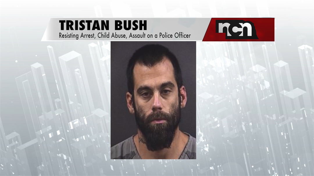 Pit bull attack on deputy may lead to prison time