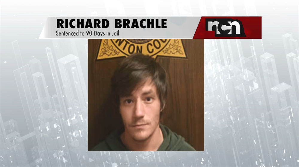 Stanton man sentenced to jail for dogs deaths