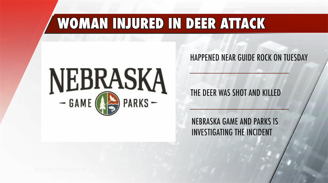 Woman severely injured in apparent deer attack