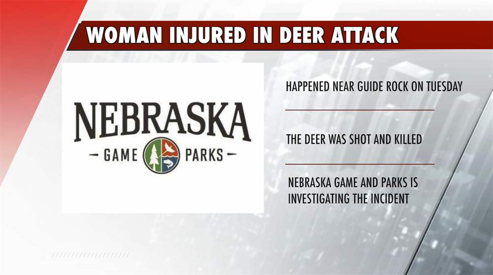 Woman severely injured in apparent deer attack
