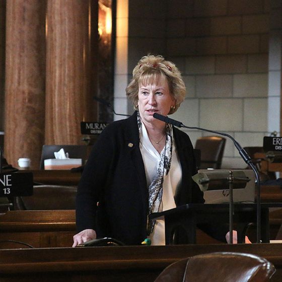 Senator Lou Ann Linehan