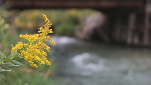 “Get-it-done group” leading progress in Brown County