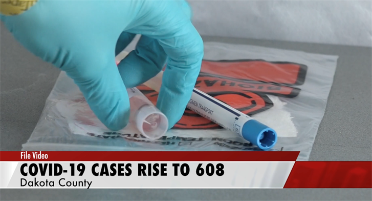 608 Cases in Dakota County