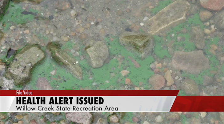 Health Alert For Blue-Green Algae Issued At Willow Creek Reservoir