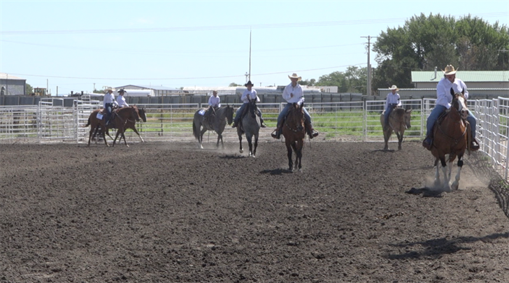 4-H'ers warm up ahead of the Senior Western Pleasure at the Cheyenne County Fair