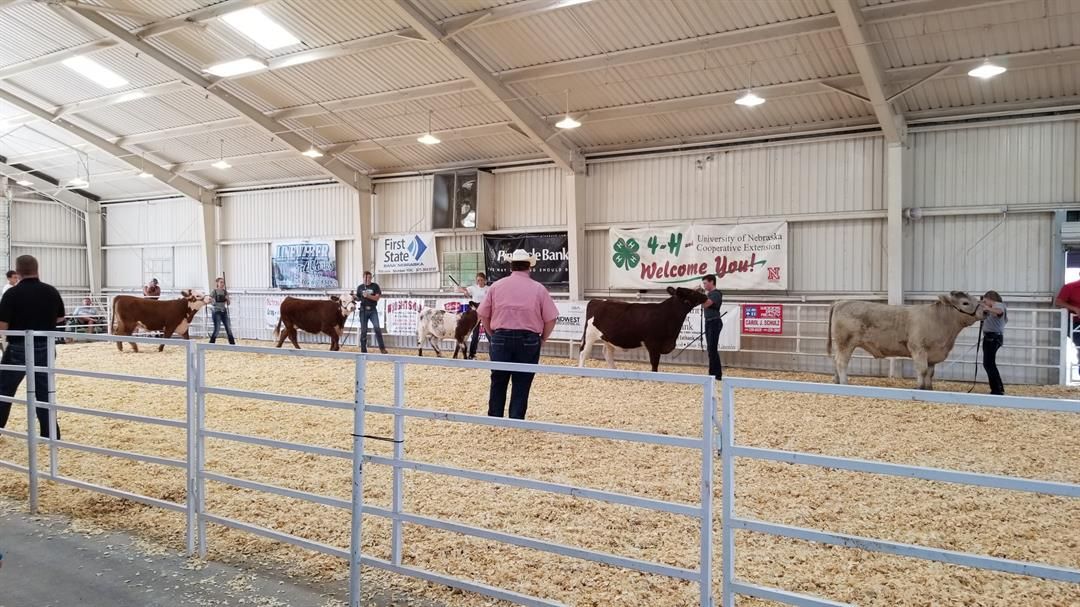 Beef Show Being Held at Gage County Fair