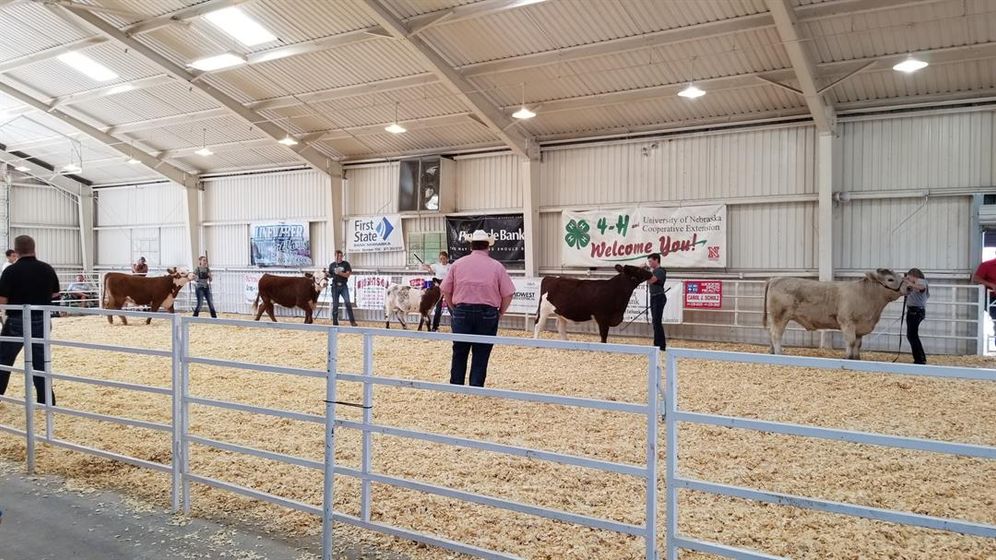 Beef Show Being Held at Gage County Fair