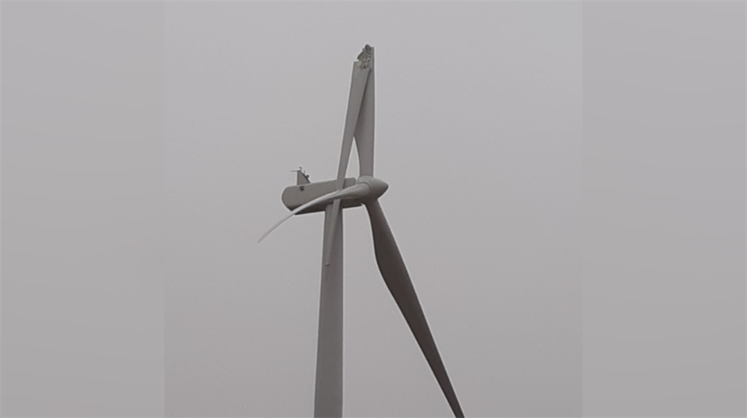 Photo courtesy: Sandra Koll