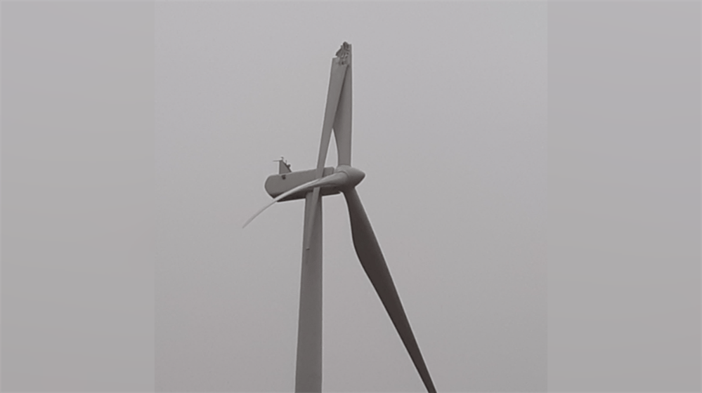 Photo courtesy: Sandra Koll