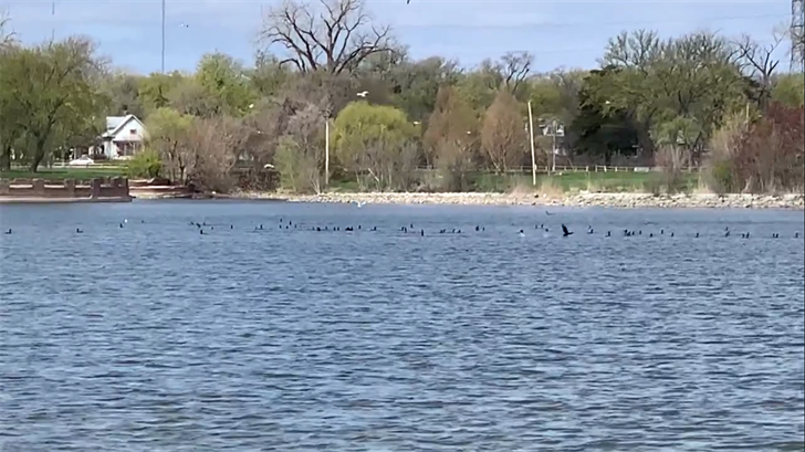 Woman's body found in car submerged in Carter Lake