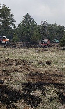 Photo Courtesy: Brian Prosser