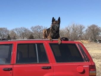 Photo Courtesy: Nebraska State Patrol