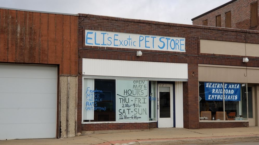 Exotic Pet Store in downtown Beatrice
