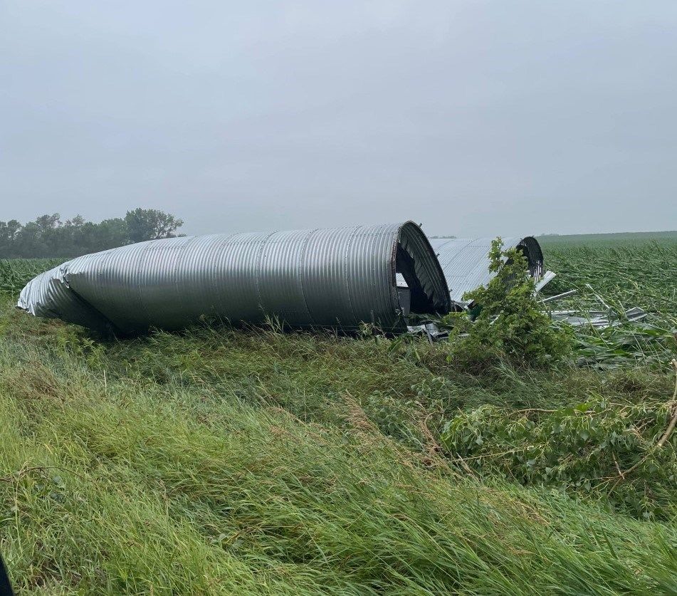 Power outages, fallen trees among the damage in overnight storm NEWS