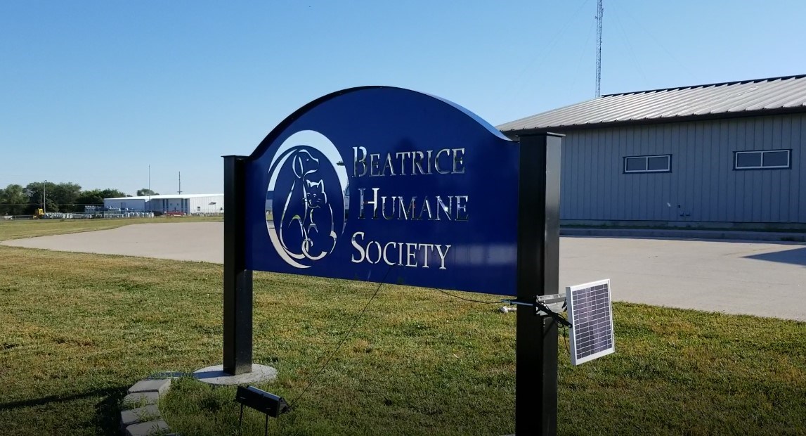 Beatrice Humane Society seeking city space for low cost surgical