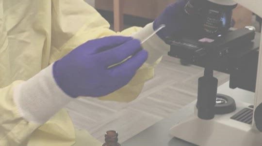 UNMC STARS- AGSafety