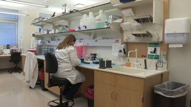 UNMC Stars - Research Programs